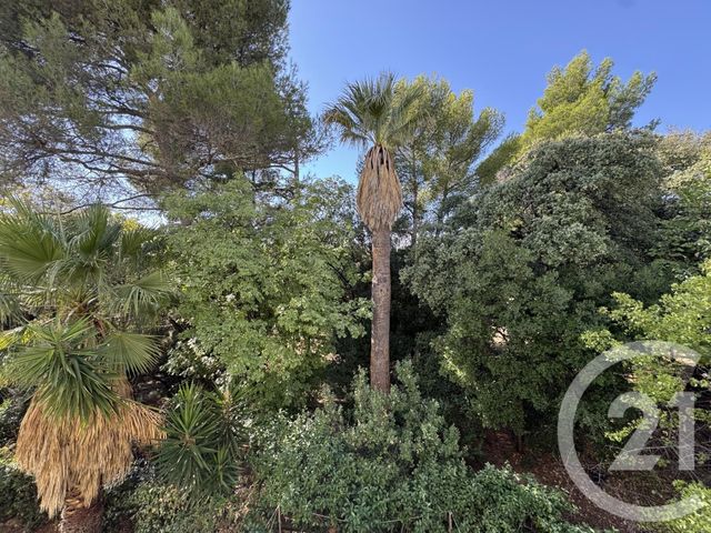 Appartement T4 à louer - 4 pièces - 84.4 m2 - MARSEILLE - 13012 - PROVENCE-ALPES-COTE-D-AZUR - Century 21 Alphée Sga